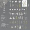 50Pcs Leaf Watercolor Plant PET Stickers Fresh Forest Illustrated Journal Scrapbook DIY Supplies