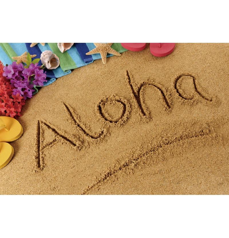 Tropical Beach Backdrop Decoration Seashell Starfish Summer Vacation For Pool Party Celebration Backgrounds For Photographs