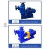 ZW Self-Priming Non-Clog Sewage Pump for Sewage Treatment & River Water Intake, 380V Horizontal Model