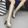 Women's High-heeled Boots Sexy European and American Style Autumn and Winter New Waterproof Platform Thick Heel Plus Size Roman Boots