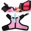 Pet Harness Rabbit Chest Harness Leash Fine Workmanship Rabbit Vest Harness  Pets Supplies
