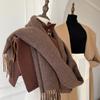 Warm Imitation Wool Scarf Tassel Winter Long Shawl Korean Style Cashmere Shawl  Girl