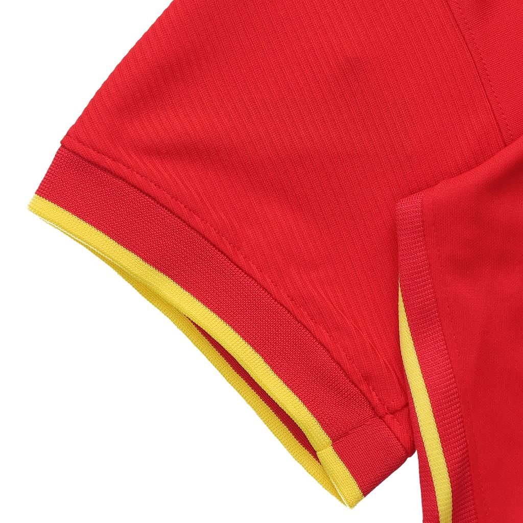 Nike Футболка с коротким рукавом для домашней игры сборной Китая, мужская футболка красного цвета CD0693-657