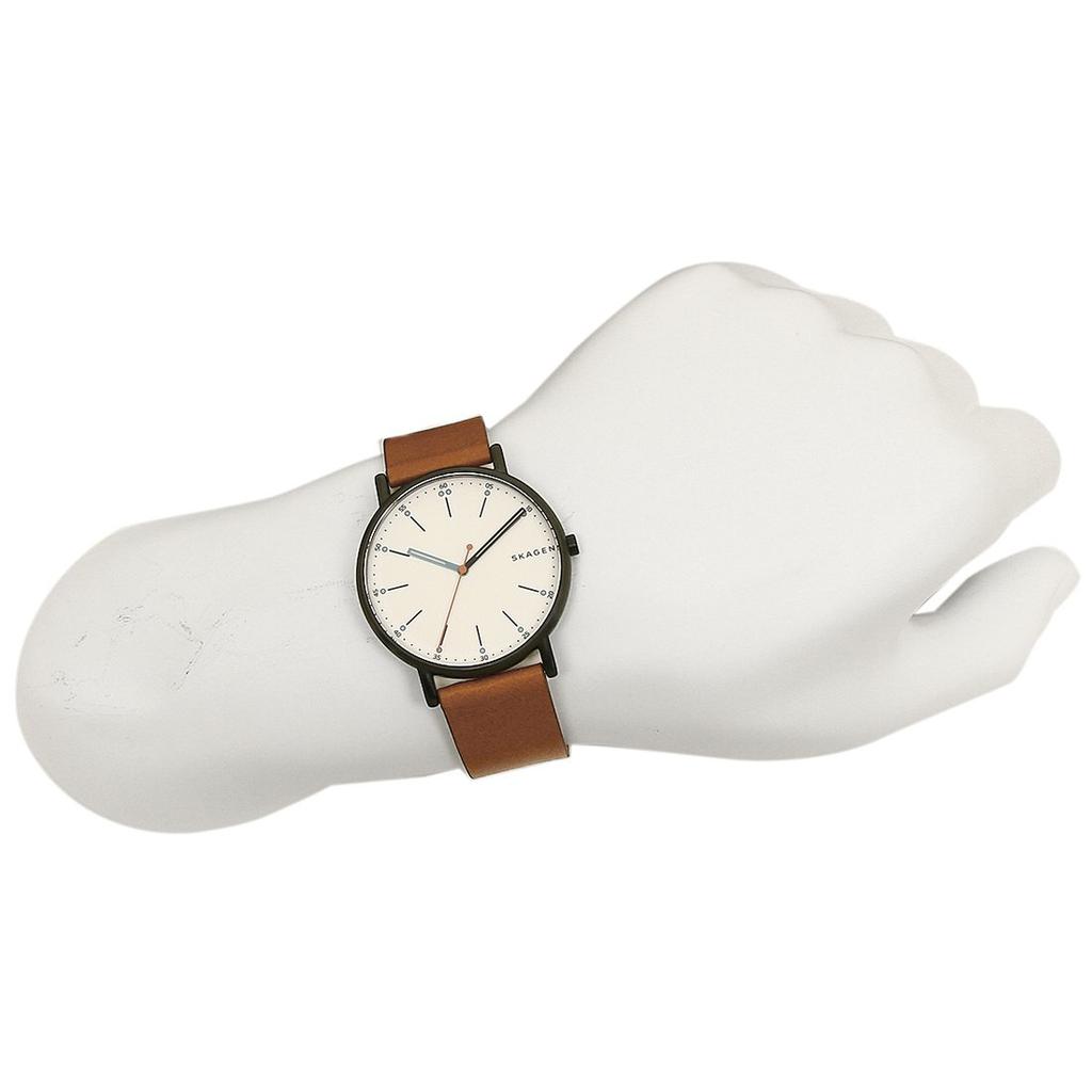 Мужские часы Skagen SKW6374 Коричневый/Белый [Параллельный импорт]