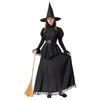 Hot Sale, Halloween Dress Pure Black Witch Cosplay Dress Masquerade Set