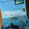 [USED] Sale! 3-D Explorer: Oceans - A guide to the mysteries of the ocean