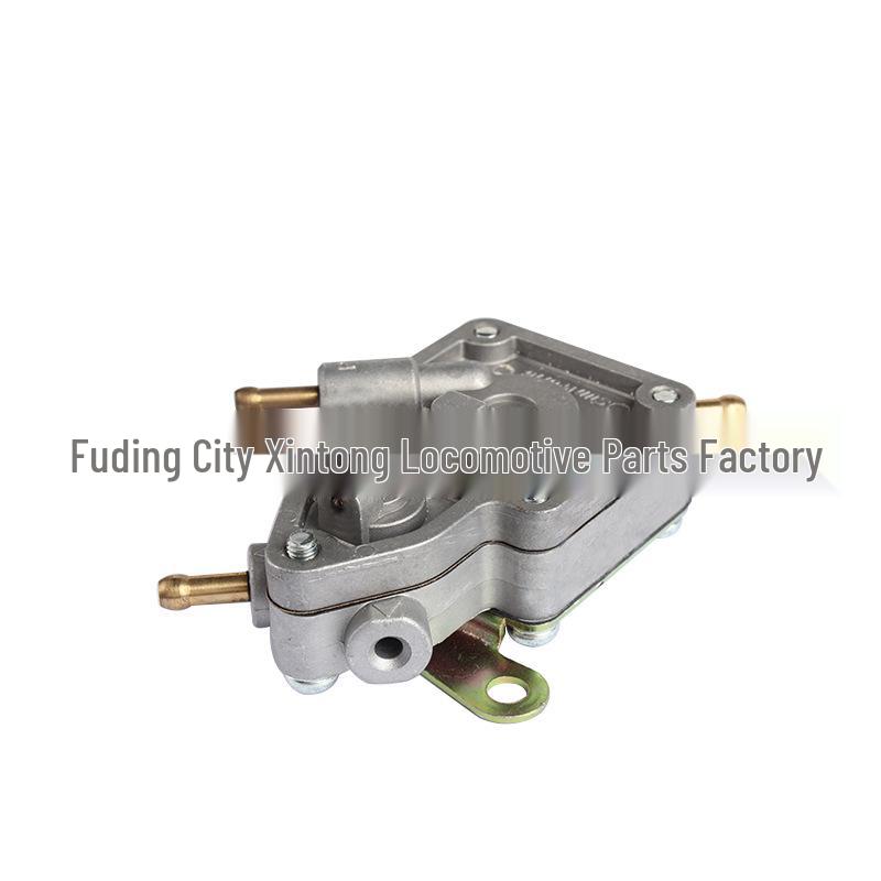 Cross-Country 400 ATV Scooter Fuel Pump: Forest Sea 300/Beach Car ATV260 Compatible