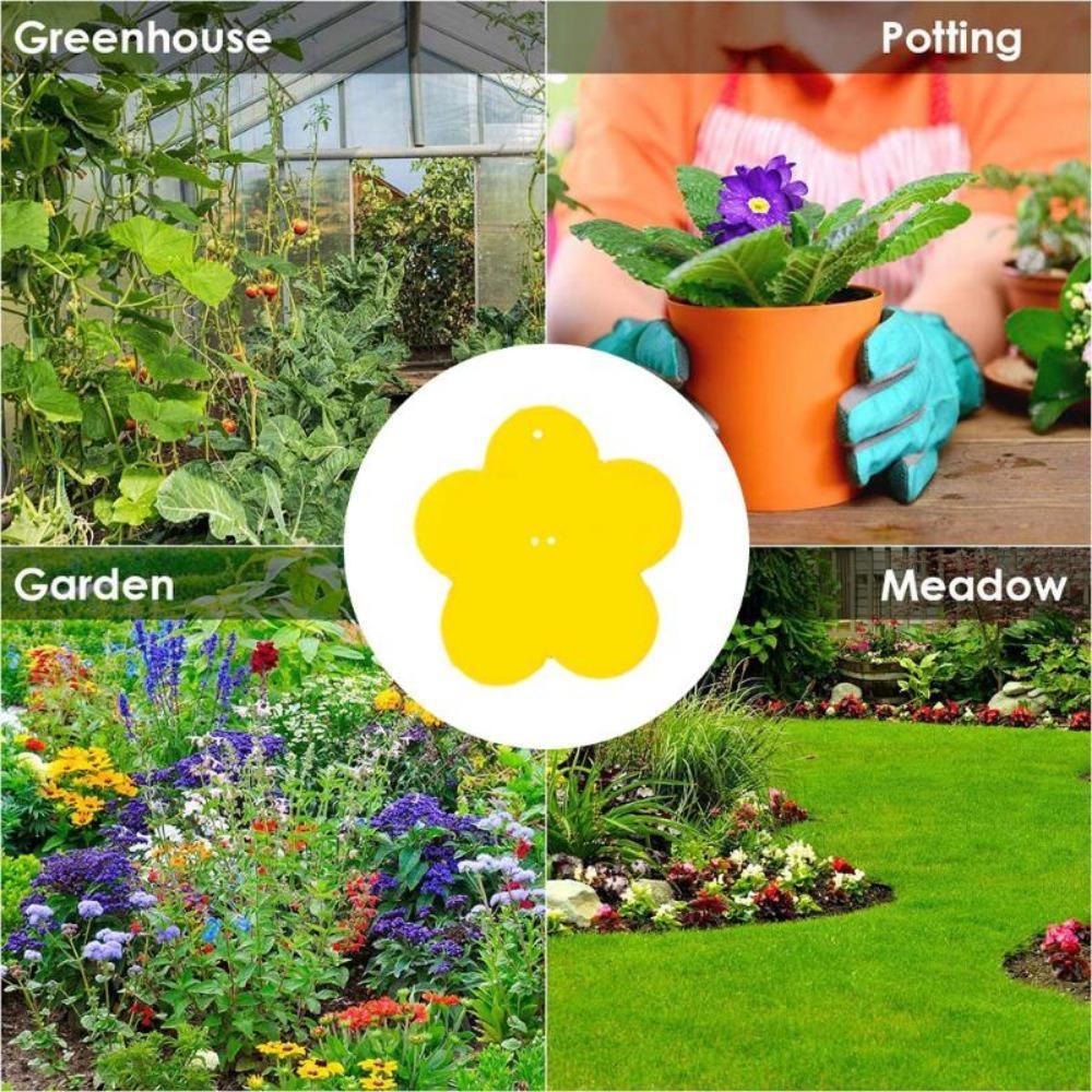 50 шт. ловушек для насекомых защищают растения, двухсторонние ловушки для комаров, нетоксичные и без запаха, липкие ловушки для садовых растений, кухни