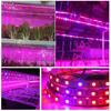 5M Led Grow Plant Lights Strip Full Spectrum Indoor Seeds Greenhouse Lighting Phyto Lamp For Plants Hydroponics Growing System