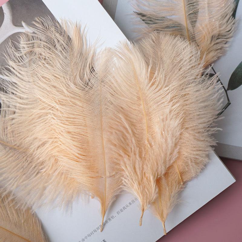 Colored Camel Bird Fur 15 -20cm Wedding Ornament Net Red Wall Decorative Feather Wall Hand Blooming Flowers Diy Dream Network Material