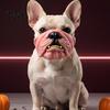 Creative Pet Photography Props Funny Dog Masque, PU Foam Scary Face Costume, Realistic Mouth Latex Headgear Masque with Elastic Band for Dress
