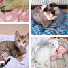 Soft Material Soft Warm Nest 45/55cm Adjustable Pet Bed Fantasy Drawstring Pet Bed  Pet Comfort