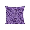 40X40Cm Sofa Cushion Sets In Europe And The United States Fashion Leopard Print Double-Sided Printed Pillowcase Chair Lumbar