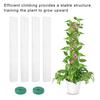 4 шт. пластиковые столбы для мха с крепежной лентой, высокая прочность, стабильная, простая в установке, палка для комнатных горшечных растений, опора для вьющихся растений, кол