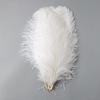 10PCS 45-50cm Colorful Big Feathers Ostrich Table Flower Table Flower Wedding Decoration Ostrich Feathers