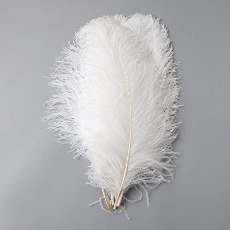 10PCS 45-50cm Colorful Big Feathers Ostrich Table Flower Table Flower Wedding Decoration Ostrich Feathers