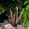 Tequila Sculpture Hand Painted Agave Plant Garden Ornament Outdoor Yard Stake