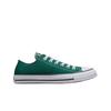 Chuck Taylor All Star Сезонный цвет Драконья чешуя