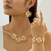 Fashion Jewelry Set Necklace Bracelet Earrings Ring For Women Ladies