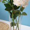 5Pcs Shatterproof Clear PVC Flower Vase Folding Plant Containers Easy To Clean Expandable Vase  Room