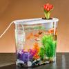 Removable Plastic Hydroponic Fish Tank Transparent Aquaponic Fish Bowl Creative   Living Room