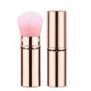 Retractable Portable Makeup and Nail Dust Brush - Travel Blush Tool