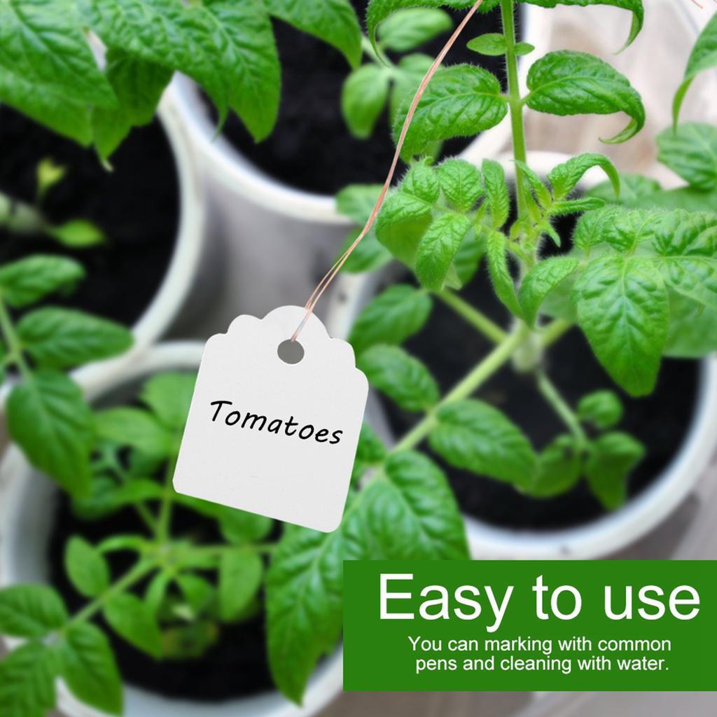 200 шт. ПВХ Подвесные Бирки для Цветов Растений Семян Идентификационные Метки Маркеры Таблички для Улицы