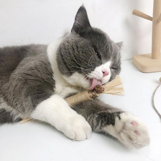 Cat Chew Stick Natural Silver Vine Stick Cats Oral Health Chew Toy Dental Stick for Cats Kittens Treats Interactive Play Training