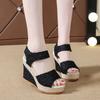 Summer New European and American Slope Heel Fish Mouth Sandals Women's Casual Muffin Thick-soled High-heeled Velcro Women's Shoes