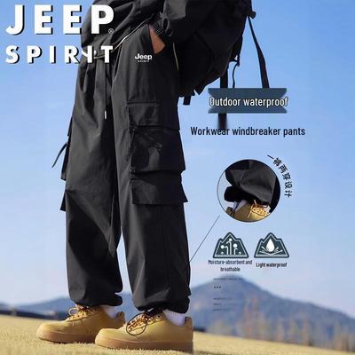 Мужские уличные брюки карго прямого кроя JEEP SPIRIT