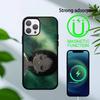 E-akopi's Original Sin Phone Case For iPhone 14,16,15,13,17,12,Plus,Pro,Max Magnetic For Magsafe Frosted Cover