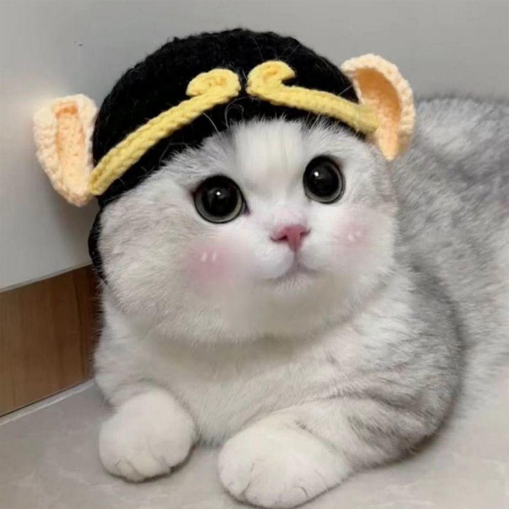 Winter 2023 Warm Elastic Crochet Cat Hat Frog Hat Pet Cap for Party Photo Props