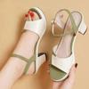 Summer Thick-heeled High-heeled Sandals Women's Temperament Color Stitching All-match Sandals Non-slip Wear-resistant Simple Sandals