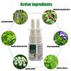 Herbal Nasal Spray