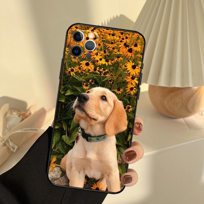 Golden Retriever Friend Phone Case For iPhone 15 14 13 12 11 16 17 Pro Max 13 mini 15 16 Plus 16e 17 Air Cover Funda