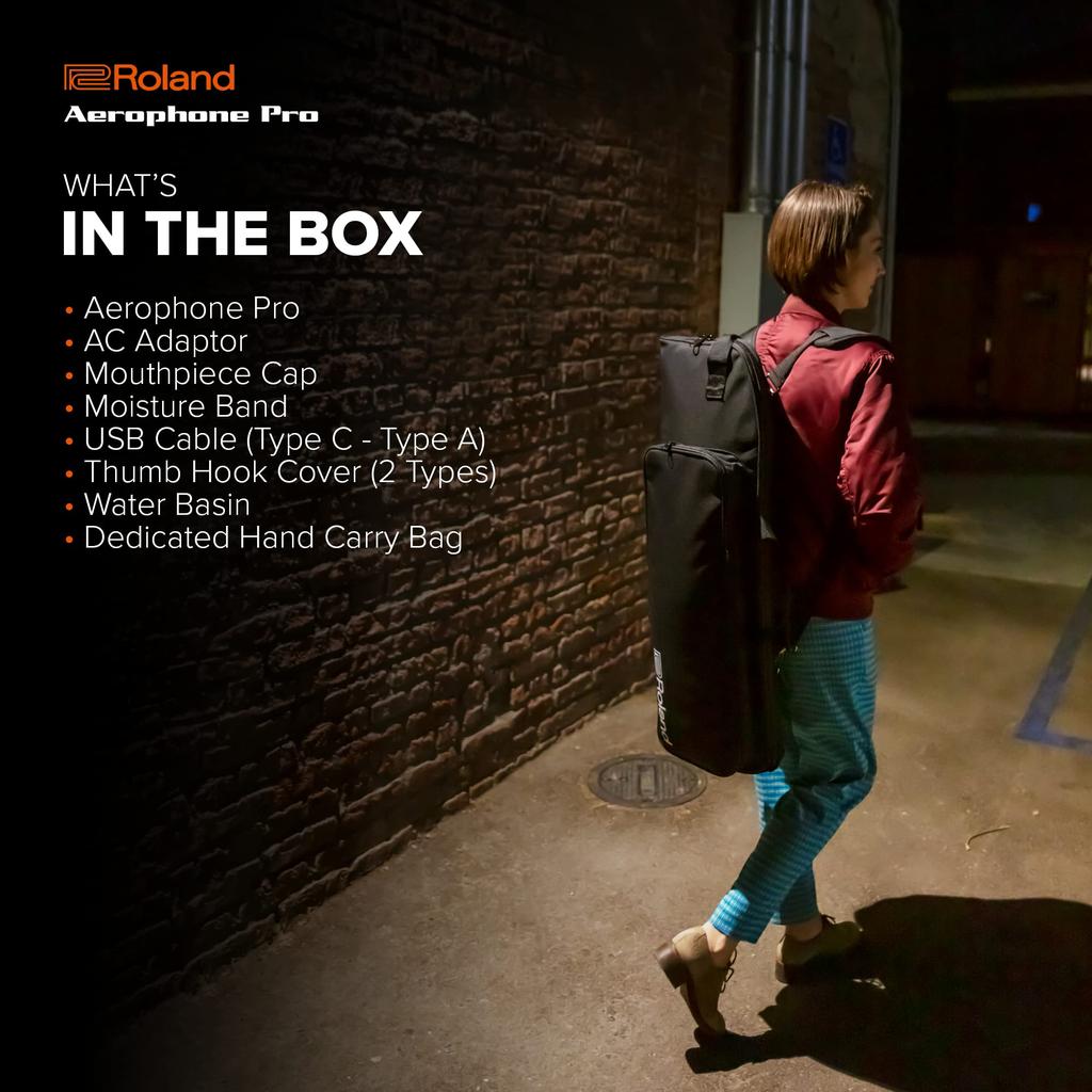 Цифровой духовой инструмент PRO Aerophone Roland/AEROPHONE AE-30