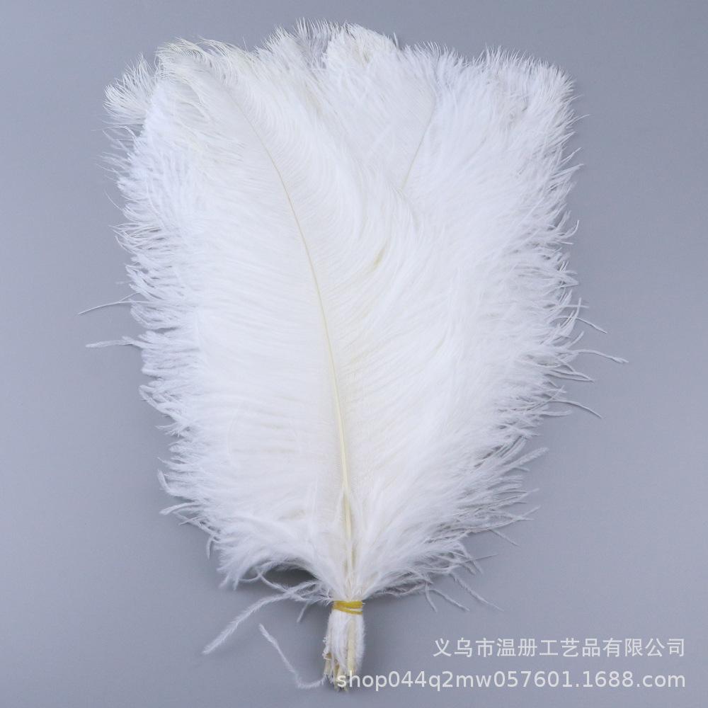 45-50 см Южноафриканское страусиное перо Современная перьевая лампа Свадебное сценическое украшение Высококачественное страусиное перо