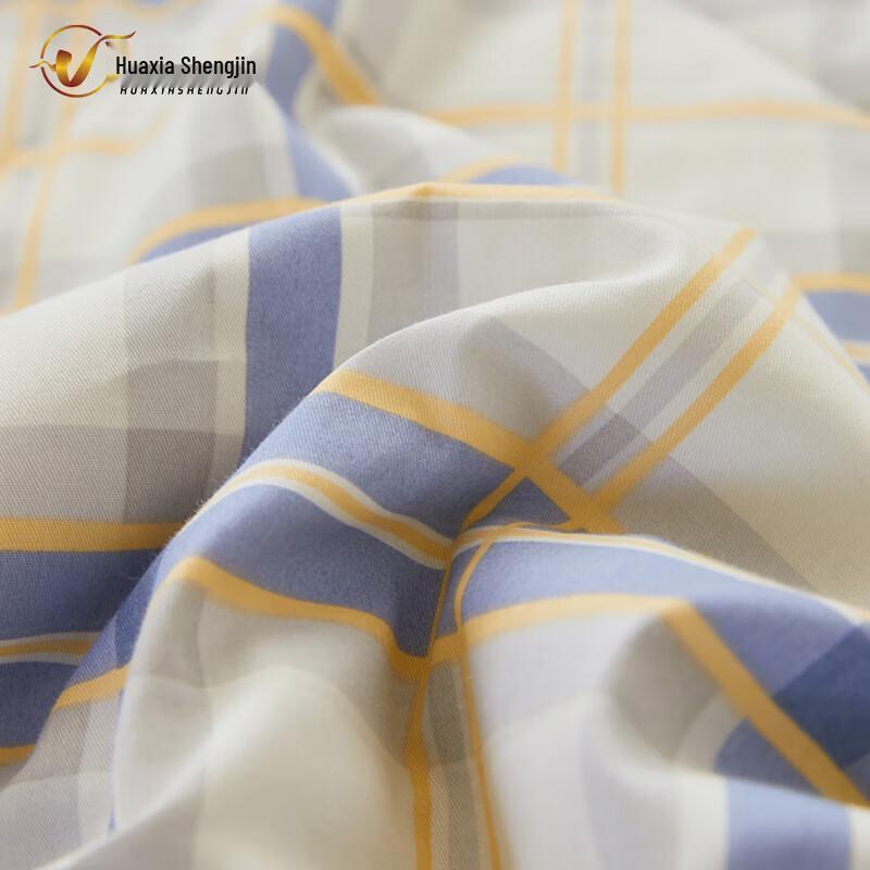 Huaxia Shengjin Machine Washable Single Winter Quilt