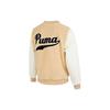 Puma Бархатная спортивная куртка с воротником-стойкой и воротником-стойкой Мужская верхняя одежда Бежевый 536182-20