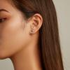 S925 Sterling Silver Heart Zircon Ear Stud Women Earrings
