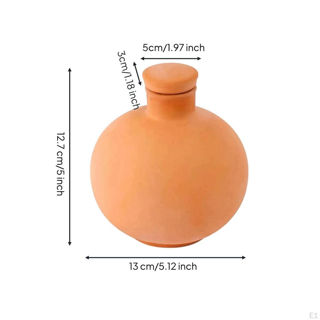 Seepage Watering Device | VacationFriendly, SlowRelease, Ceramic Globe, for Potted Plants