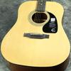 Acoustic Guitar NA Epiphone Introductory Folk Guitar for Beginners DR-100