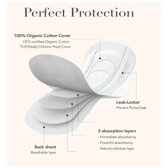 Rael Organic Cotton Cover Feminine Care 5-Piece Set – Regular & Large Sanitary Pads, Overnight Pads and Panty Liners (5 Packs)