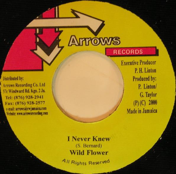 Пластинка 7 дюймов WILD FLOWER I Never Knew NONE Arrows Records 2000 Ямайка Регги Ска Даб Б/у
