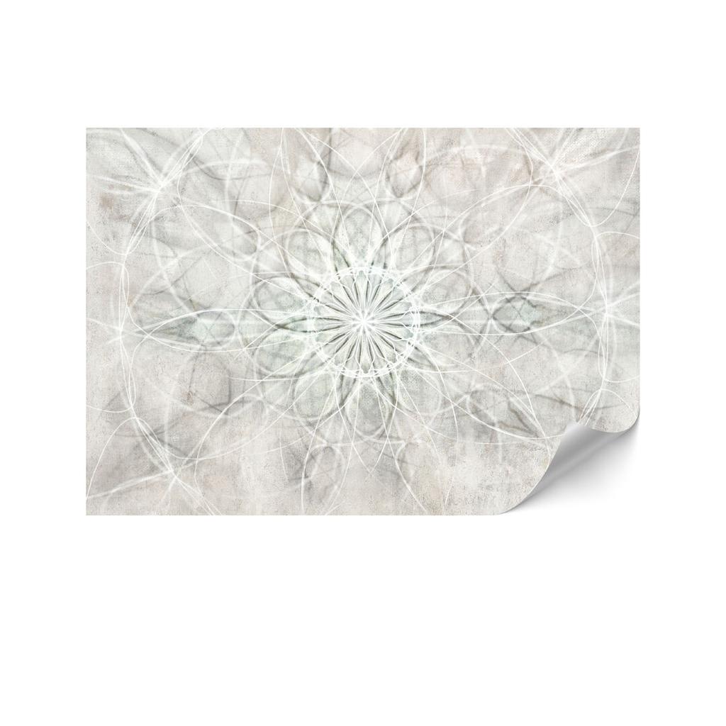 Fototapeta Flizelinowa Standard - 400 X 280 Cm - Styl Boho - Tła I Desenie