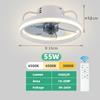 IRALAN Ceiling Fan with LED Light Home Decoration Electric Fan Mute Timer Ceiling Fan Lamp 55W Intelligent Remote Control