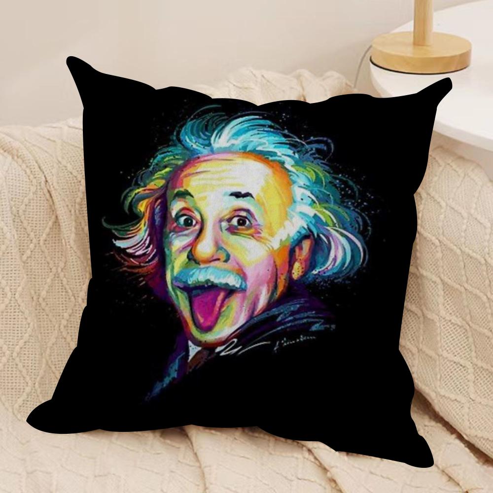 Physics EEINSTEINes Cushion Cover Soft Plush Fabric DoubleSided Printed Sofa Cushion Cover for All Seasons Home Decor Gift