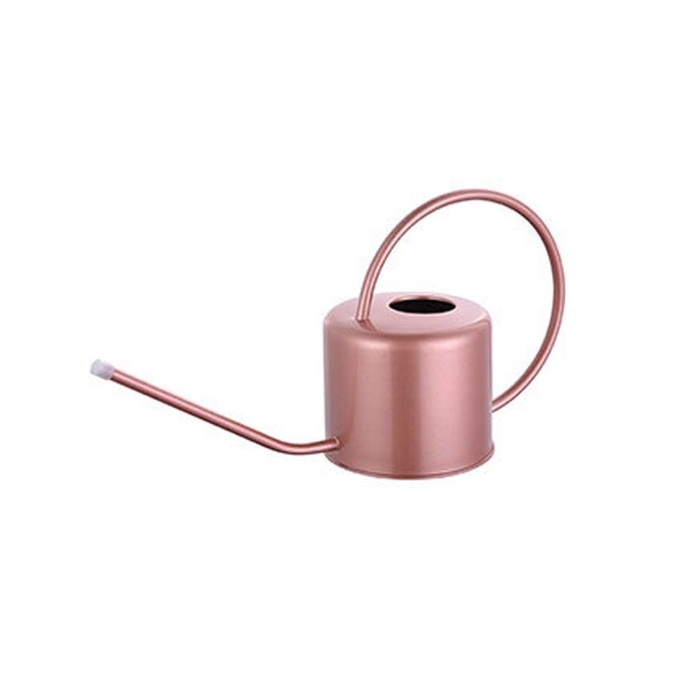 Stainless Steel Long Spout Watering Can Rustproof Leakproof Spray Kettle Watering Can Indoor
