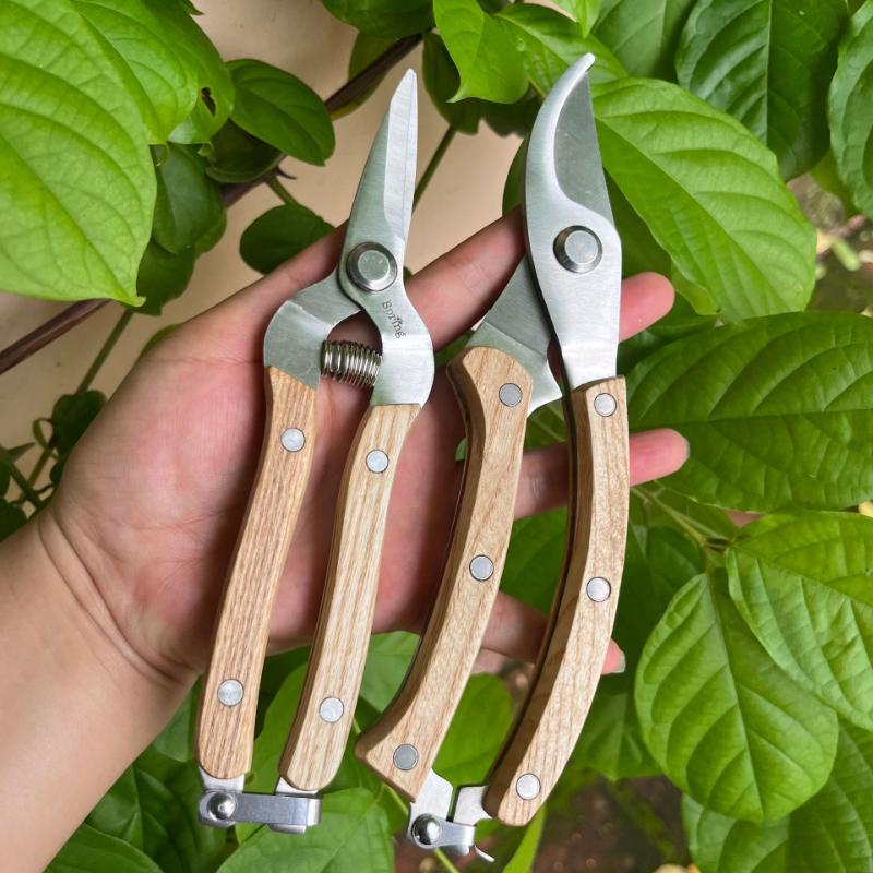 Ручка под дерево Садовые ножницы Ножницы для сбора цветов Ножницы для сбора веток Ножницы для фруктов Многофункциональные изогнутые ножницы Садовые инструменты