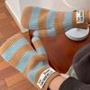 Thickened Striped Gloves Korean Electric Vehicle Gloves Simple Winter Warm Riding Gloves Girl